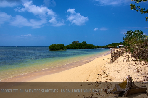 Des paysages aux traditions, Bali l'inoubliable