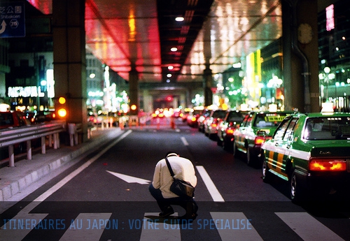 Jardins zen et hautes technologies : la diversité japonaise